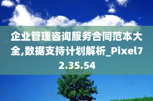 企业管理咨询服务合同范本大全,数据支持计划解析_Pixel72.35.54