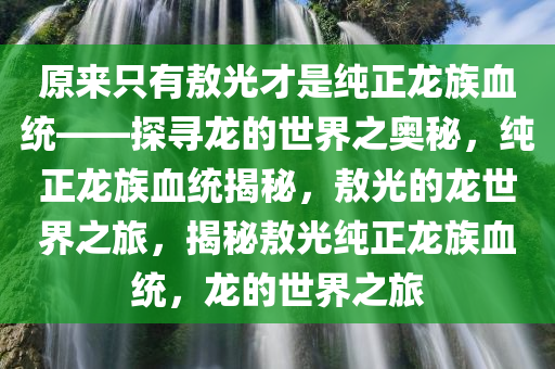 原来只有敖光才是纯正龙族血统——探寻龙的世界之奥秘，纯正龙族血统揭秘，敖光的龙世界之旅，揭秘敖光纯正龙族血统，龙的世界之旅