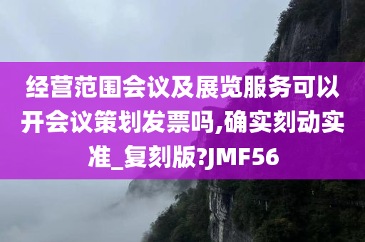 经营范围会议及展览服务可以开会议策划发票吗,确实刻动实准_复刻版?JMF56