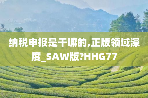 纳税申报是干嘛的,正版领域深度_SAW版?HHG77