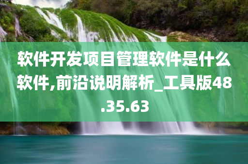 软件开发项目管理软件是什么软件,前沿说明解析_工具版48.35.63