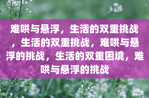 难哄与悬浮，生活的双重挑战，生活的双重挑战，难哄与悬浮的挑战，生活的双重困境，难哄与悬浮的挑战