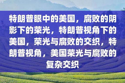 特朗普眼中的美国，腐败的阴影下的荣光，特朗普视角下的美国，荣光与腐败的交织，特朗普视角，美国荣光与腐败的复杂交织