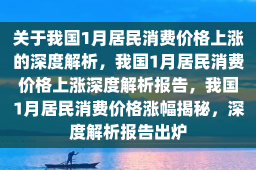 关于我国1月居民消费价格上涨的深度解析，我国1月居民消费价格上涨深度解析报告，我国1月居民消费价格涨幅揭秘，深度解析报告出炉