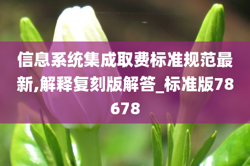 信息系统集成取费标准规范最新,解释复刻版解答_标准版78678