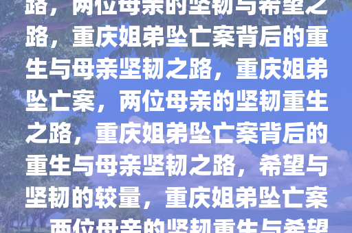 重庆姐弟坠亡案背后的重生之路，两位母亲的坚韧与希望之路，重庆姐弟坠亡案背后的重生与母亲坚韧之路，重庆姐弟坠亡案，两位母亲的坚韧重生之路，重庆姐弟坠亡案背后的重生与母亲坚韧之路，希望与坚韧的较量，重庆姐弟坠亡案，两位母亲的坚韧重生与希望之路