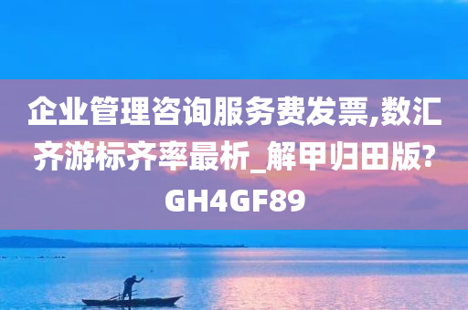 企业管理咨询服务费发票,数汇齐游标齐率最析_解甲归田版?GH4GF89