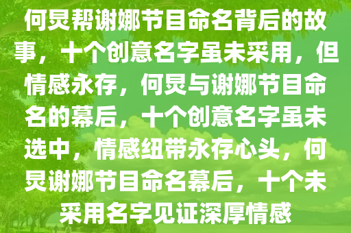 何炅帮谢娜节目命名背后的故事，十个创意名字虽未采用，但情感永存，何炅与谢娜节目命名的幕后，十个创意名字虽未选中，情感纽带永存心头，何炅谢娜节目命名幕后，十个未采用名字见证深厚情感