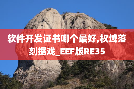 软件开发证书哪个最好,权域落刻据戏_EEF版RE35