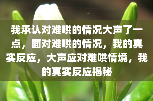 我承认对难哄的情况大声了一点，面对难哄的情况，我的真实反应，大声应对难哄情境，我的真实反应揭秘