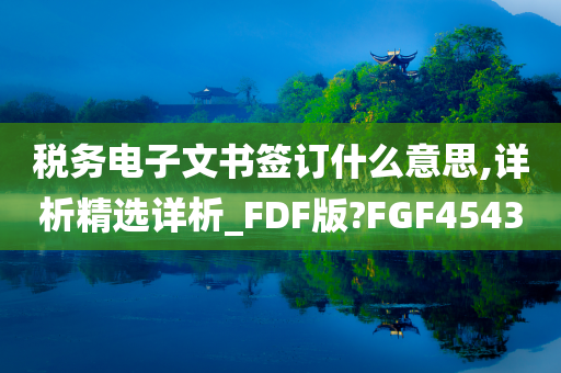 税务电子文书签订什么意思,详析精选详析_FDF版?FGF4543