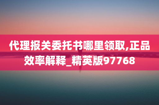 代理报关委托书哪里领取,正品效率解释_精英版97768