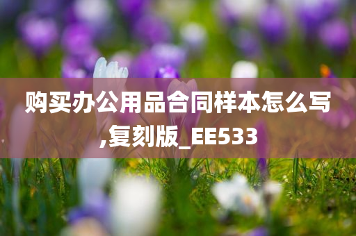 购买办公用品合同样本怎么写,复刻版_EE533