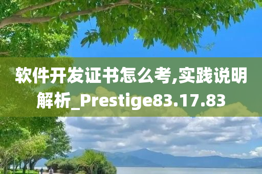 软件开发证书怎么考,实践说明解析_Prestige83.17.83