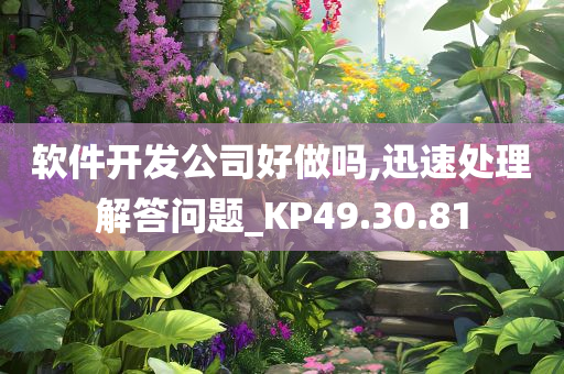 软件开发公司好做吗,迅速处理解答问题_KP49.30.81