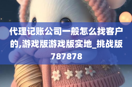 代理记账公司一般怎么找客户的,游戏版游戏版实地_挑战版787878