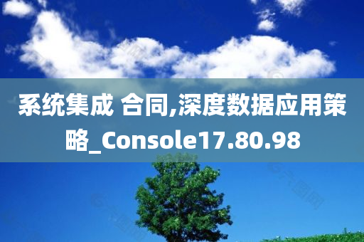 系统集成 合同,深度数据应用策略_Console17.80.98