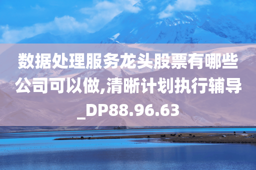 数据处理服务龙头股票有哪些公司可以做,清晰计划执行辅导_DP88.96.63