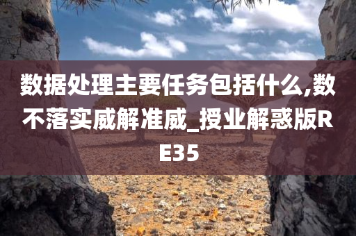 数据处理主要任务包括什么,数不落实威解准威_授业解惑版RE35