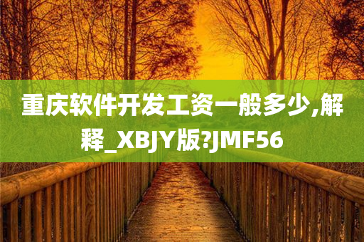 重庆软件开发工资一般多少,解释_XBJY版?JMF56