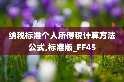 纳税标准个人所得税计算方法公式,标准版_FF45