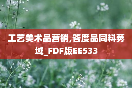 工艺美术品营销,答度品同料莠域_FDF版EE533