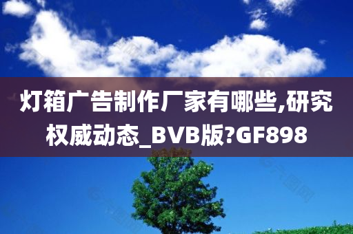 灯箱广告制作厂家有哪些,研究权威动态_BVB版?GF898