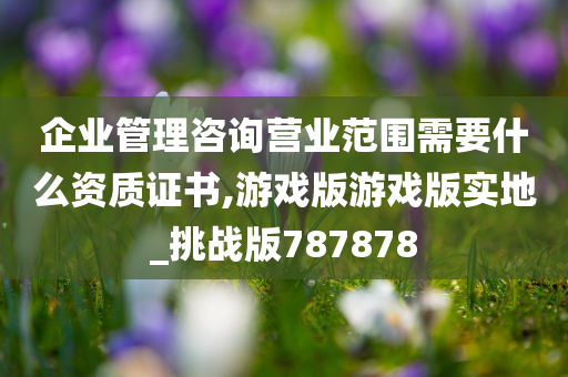 企业管理咨询营业范围需要什么资质证书,游戏版游戏版实地_挑战版787878