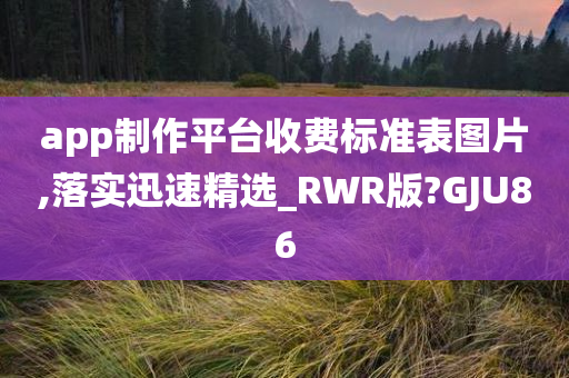 app制作平台收费标准表图片,落实迅速精选_RWR版?GJU86