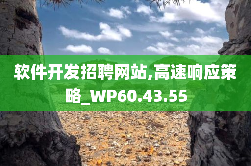 软件开发招聘网站,高速响应策略_WP60.43.55