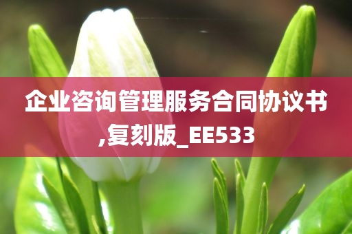 企业咨询管理服务合同协议书,复刻版_EE533