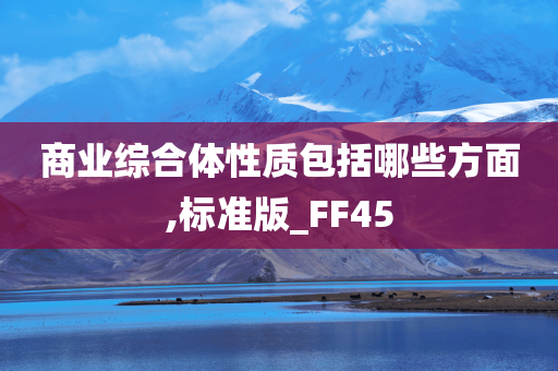 商业综合体性质包括哪些方面,标准版_FF45