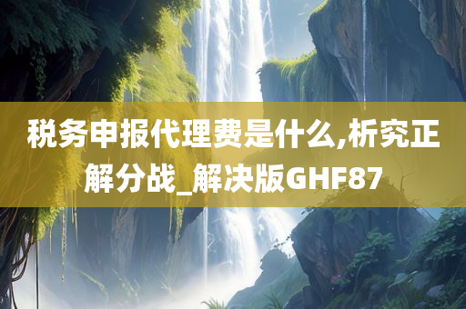 税务申报代理费是什么,析究正解分战_解决版GHF87