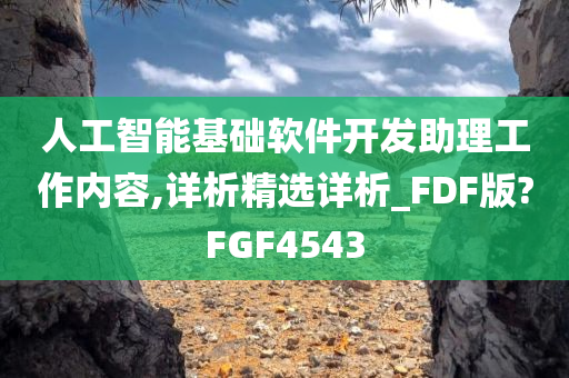 人工智能基础软件开发助理工作内容,详析精选详析_FDF版?FGF4543