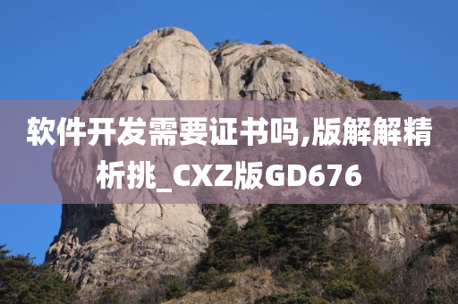 软件开发需要证书吗,版解解精析挑_CXZ版GD676