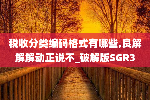 税收分类编码格式有哪些,良解解解动正说不_破解版SGR3