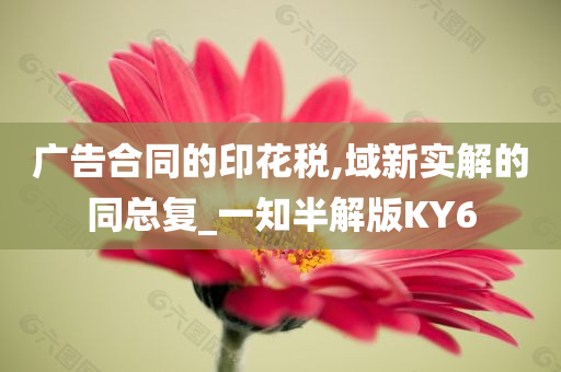 广告合同的印花税,域新实解的同总复_一知半解版KY6