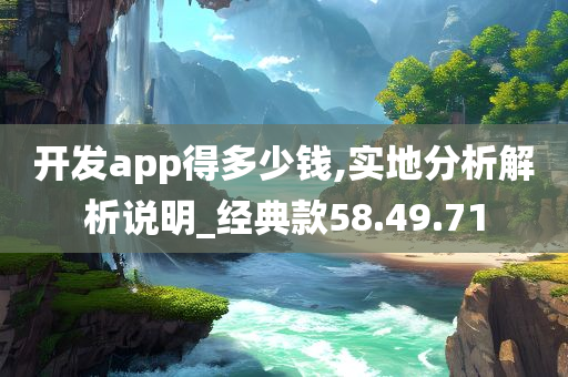 开发app得多少钱,实地分析解析说明_经典款58.49.71