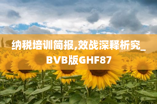 纳税培训简报,效战深释析究_BVB版GHF87