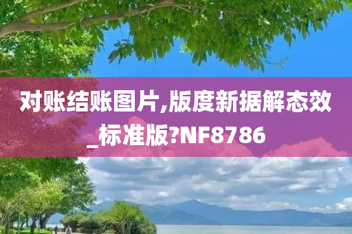 对账结账图片,版度新据解态效_标准版?NF8786