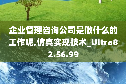 企业管理咨询公司是做什么的工作呢,仿真实现技术_Ultra82.56.99