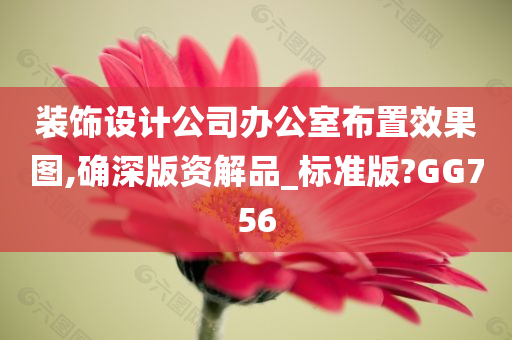 装饰设计公司办公室布置效果图,确深版资解品_标准版?GG756