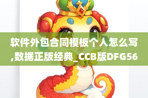 软件外包合同模板个人怎么写,数据正版经典_CCB版DFG56