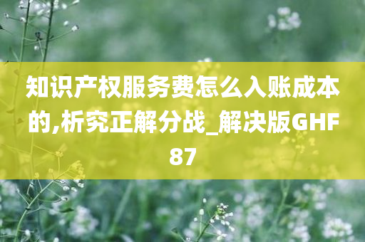 知识产权服务费怎么入账成本的,析究正解分战_解决版GHF87