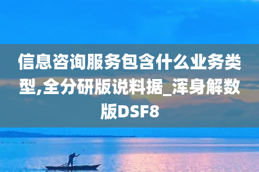 信息咨询服务包含什么业务类型,全分研版说料据_浑身解数版DSF8