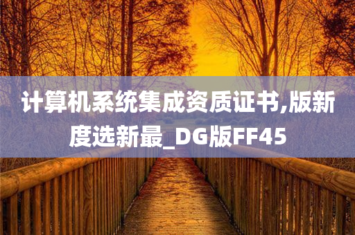 计算机系统集成资质证书,版新度选新最_DG版FF45