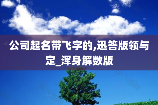 公司起名带飞字的,迅答版领与定_浑身解数版