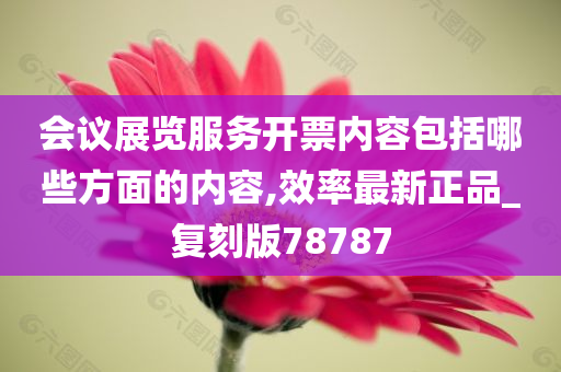 会议展览服务开票内容包括哪些方面的内容,效率最新正品_复刻版78787