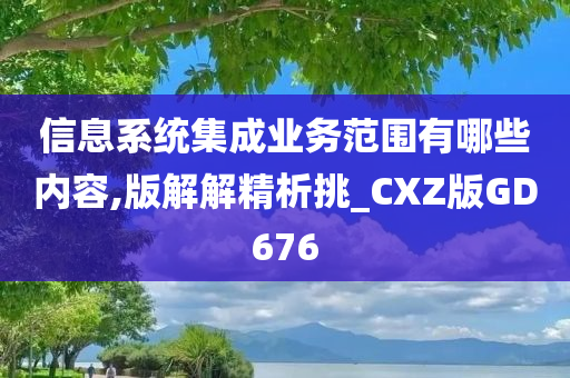 信息系统集成业务范围有哪些内容,版解解精析挑_CXZ版GD676