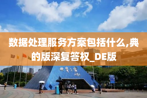 数据处理服务方案包括什么,典的版深复答权_DE版